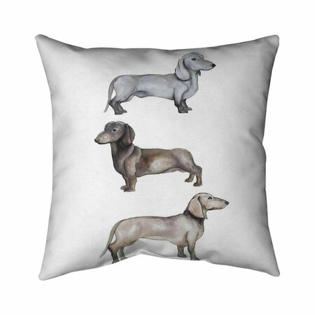 FONDO 20 x 20 in. Dachshund Dogs-Double Sided Print Indoor Pillow FO2772136